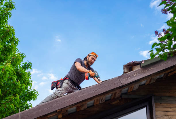 Best Roof Leak Repair  in Glendive, MT