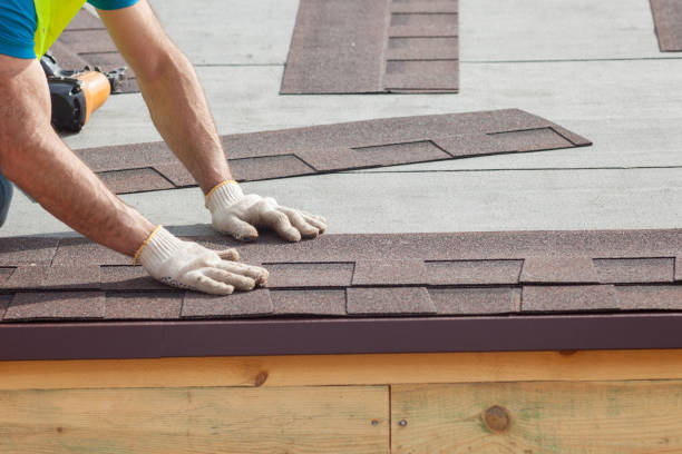 Best Roof Moss and Algae Removal  in Glendive, MT