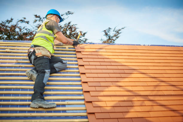 Best Asphalt Shingle Roofing  in Glendive, MT